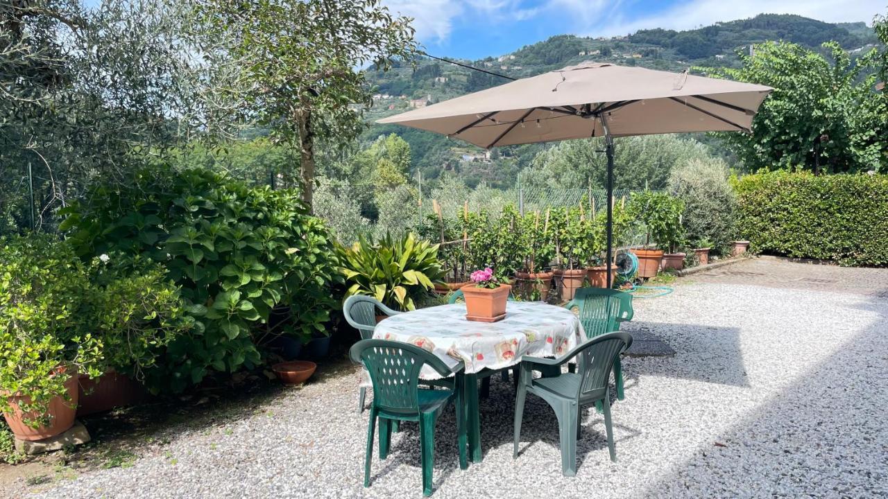 Ferienwohnung Tra Gli Olivi Lucca Exterior foto
