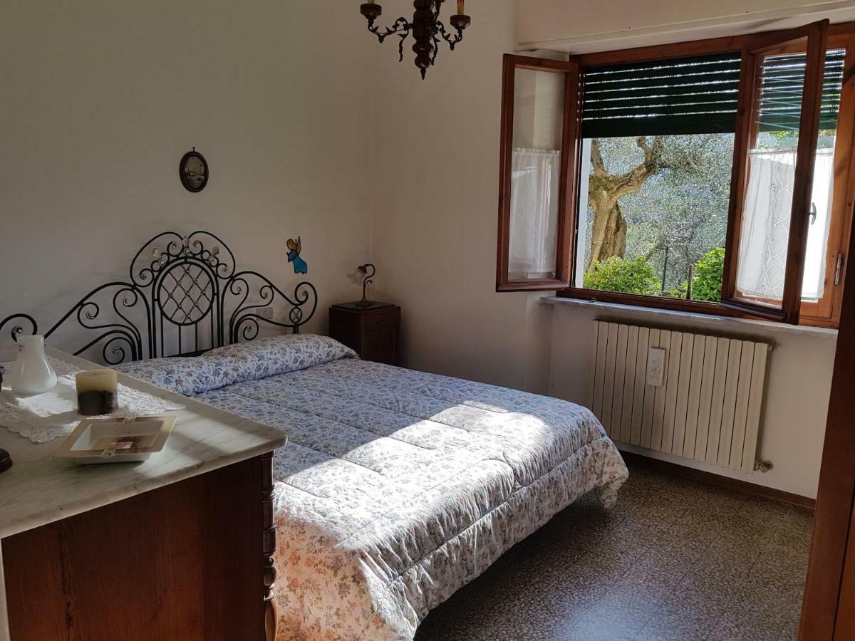 Ferienwohnung Tra Gli Olivi Lucca Exterior foto